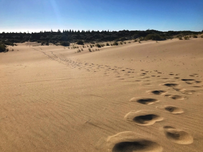 oregon-dunes